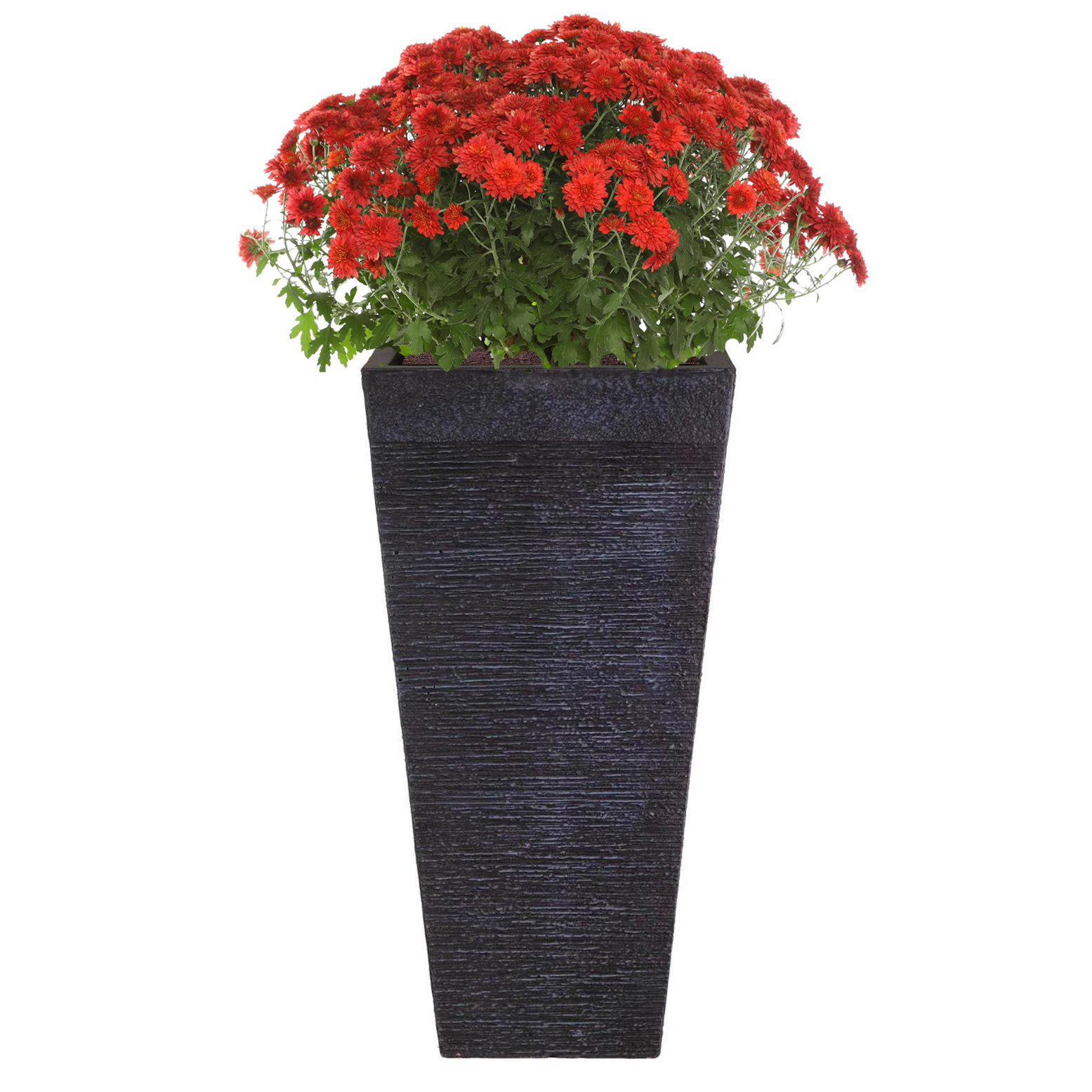 Ribbed Black Light Concrete Tapered Planter H51 L24 W24 cm, 29 ltrs Cap.