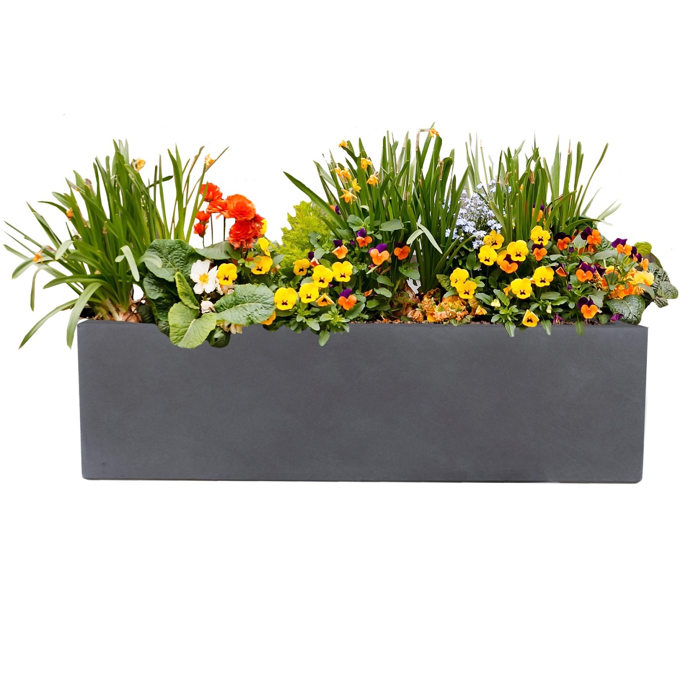 Window Box Light Concrete Dark Grey Planter L60 W17 H17.5 cm, 18 ltrs Cap.