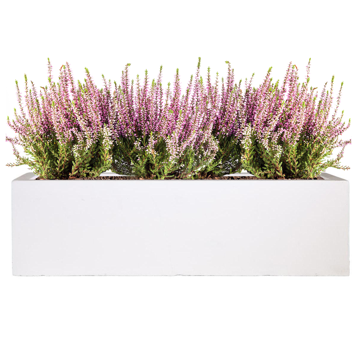 Window Box Light Concrete White Planter L80 W17 H17.5 cm, 24 ltrs Cap.