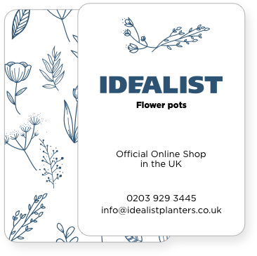 22sait-Idealist-elements