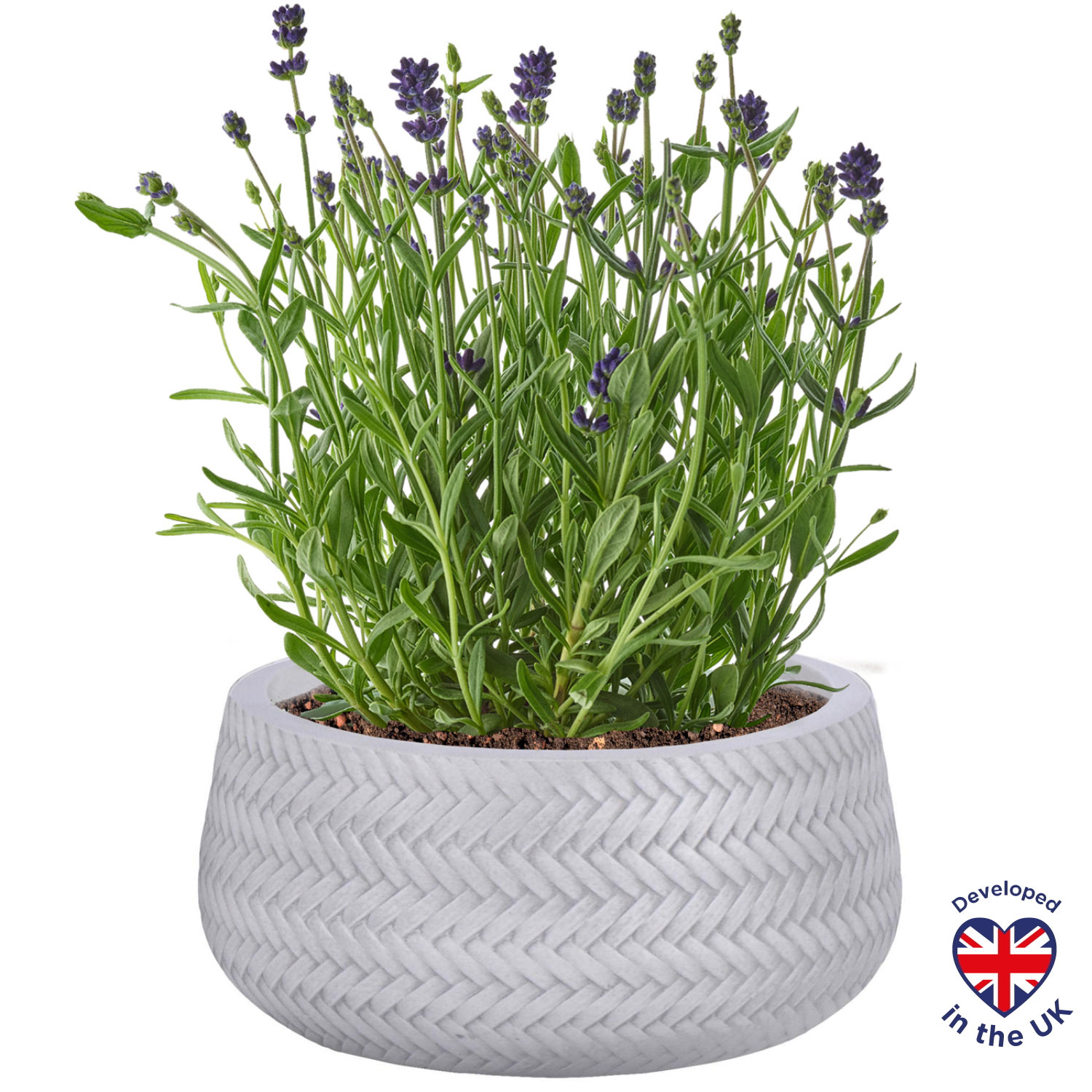 Plaited Style White Bowl Outdoor Garden Planter D24 H12 cm, 5.4 ltrs Cap.