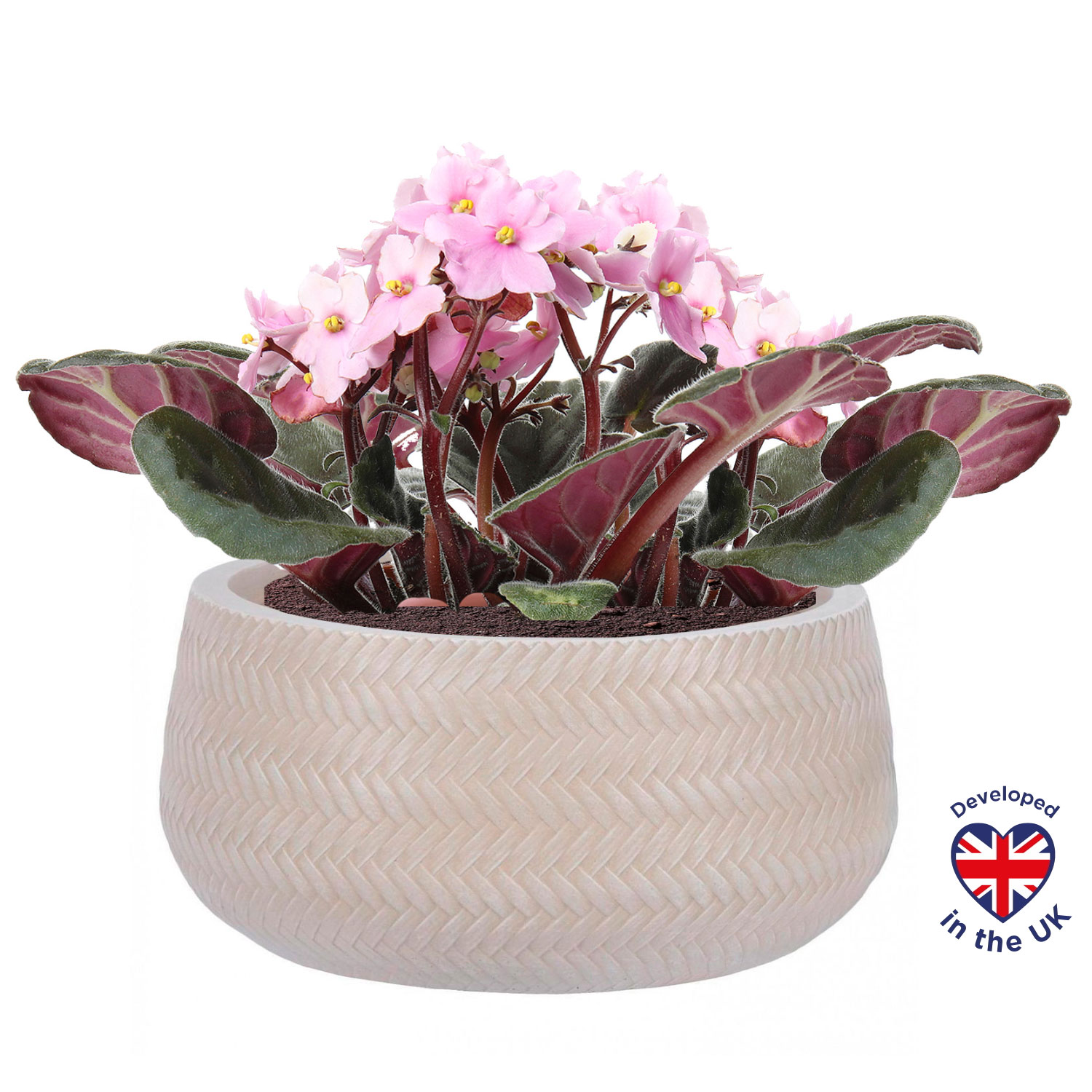 Plaited Style Beige Bowl Outdoor Garden Planter D24 H12 cm, 5.4 ltrs Cap.