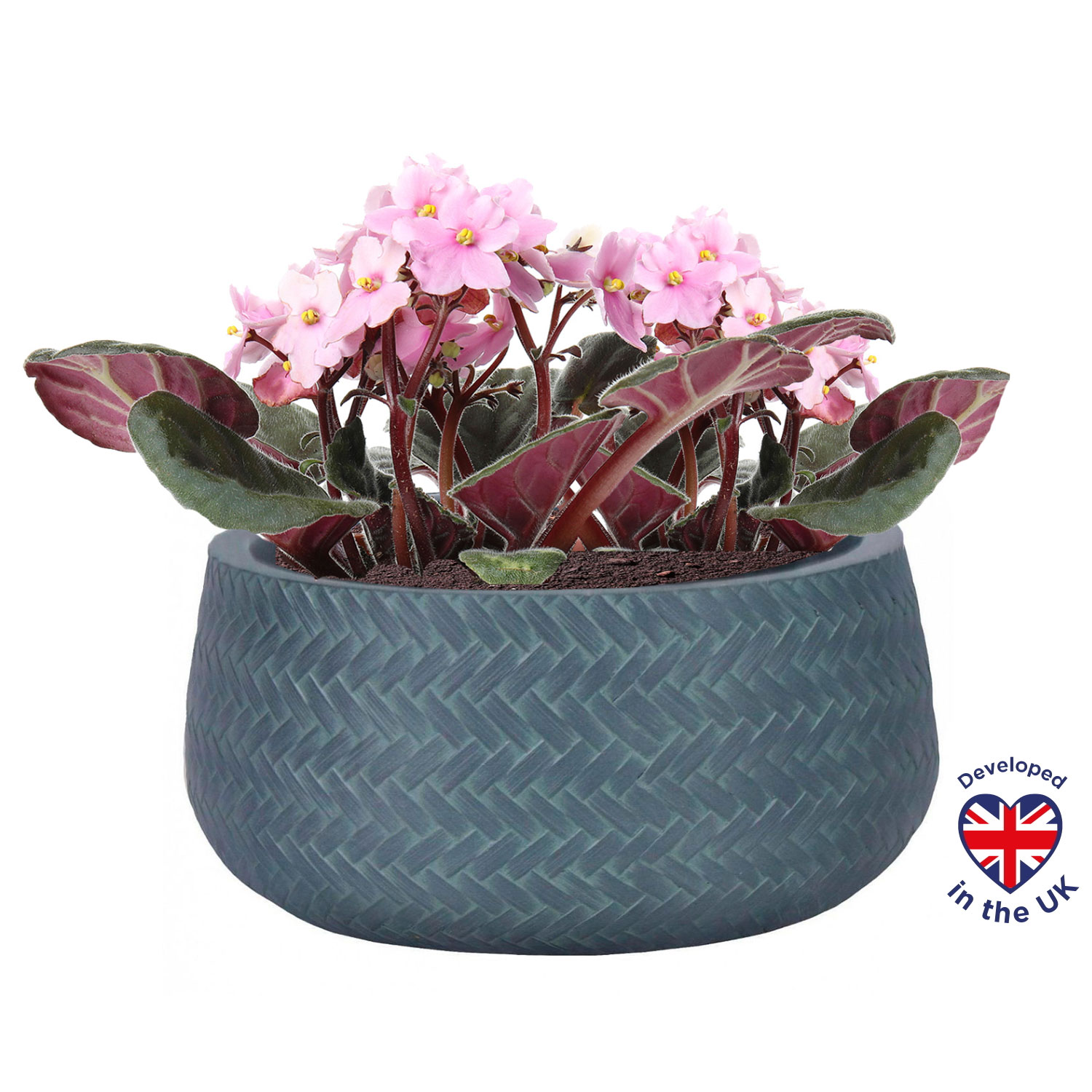 Plaited Style Green Grey Bowl Outdoor Garden Planter D24 H12 cm, 5.4 ltrs Cap.