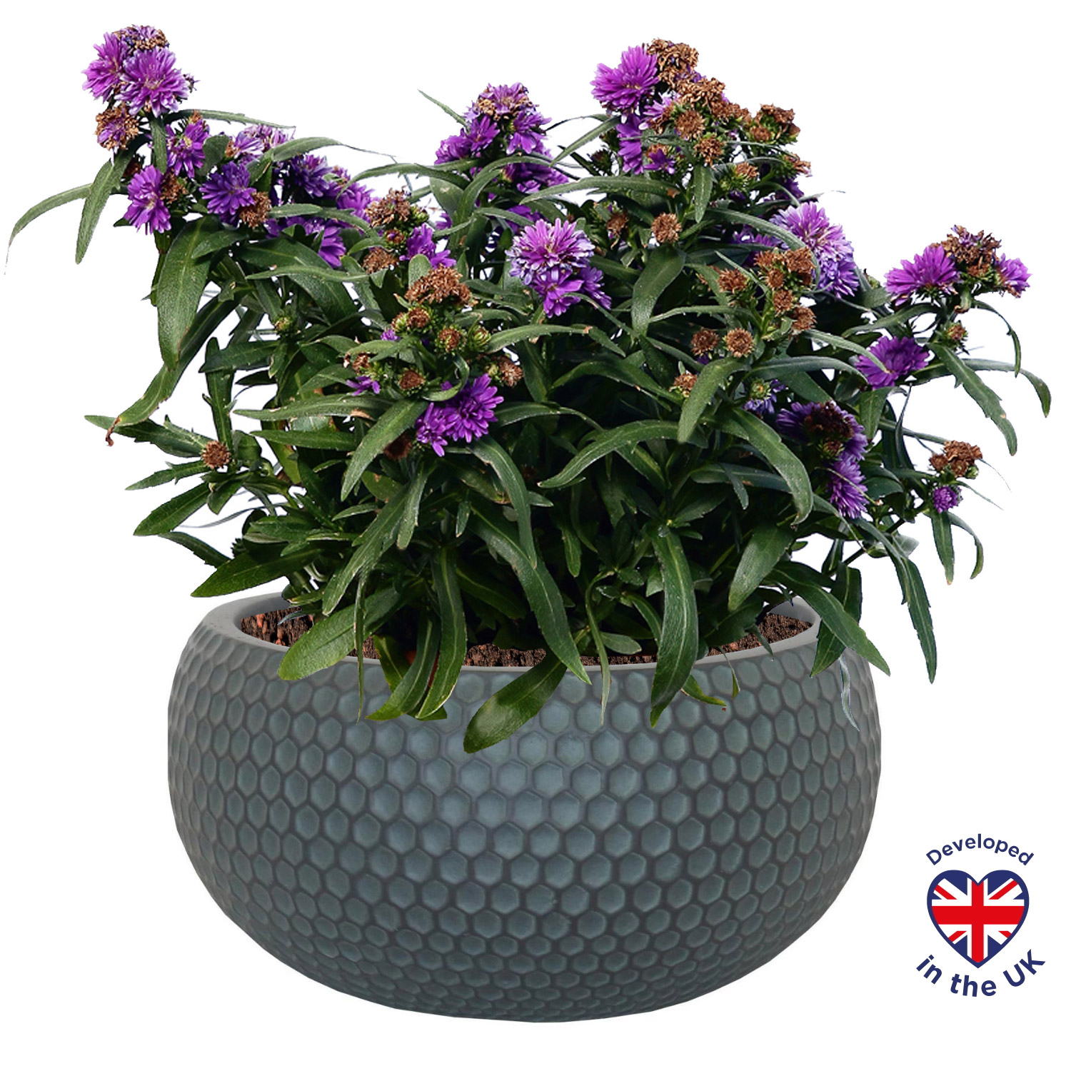 Honeycomb Style Green Grey Bowl Outdoor Garden Planter D20 H10 cm, 3.1 ltrs Cap.