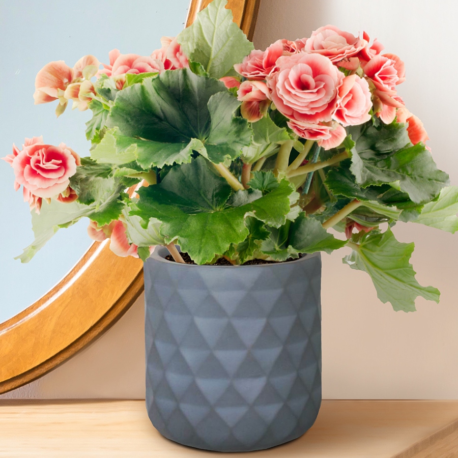 Diamond Style Grey Round Plant Pot also can be used as Hanging Planter Indoor D13 H17.5 cm, 4 ltrs Cap.
