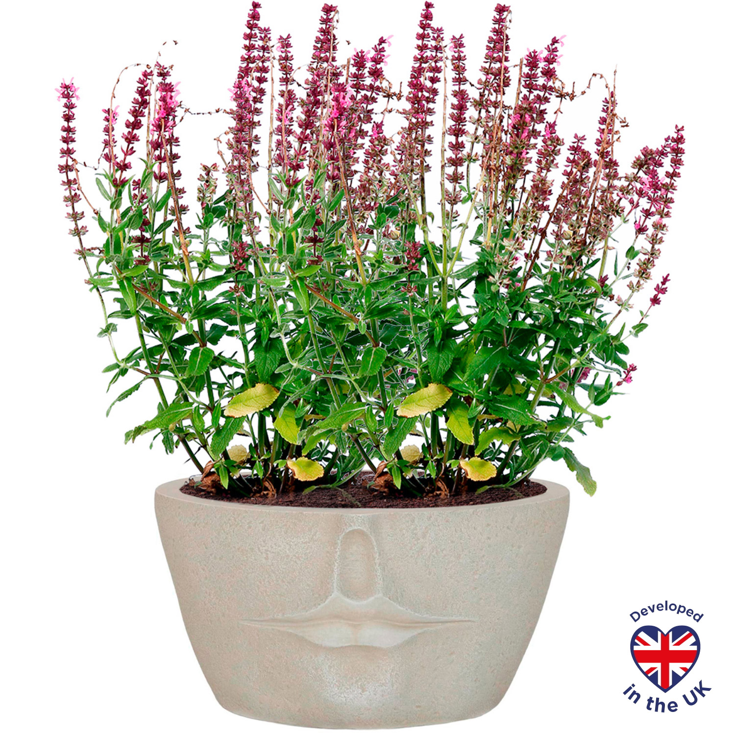Textured Concrete Effect Beige Oval Face Garden Planter with Lips L30 D22.5 H16.5 cm, 5.8 ltrs Cap.