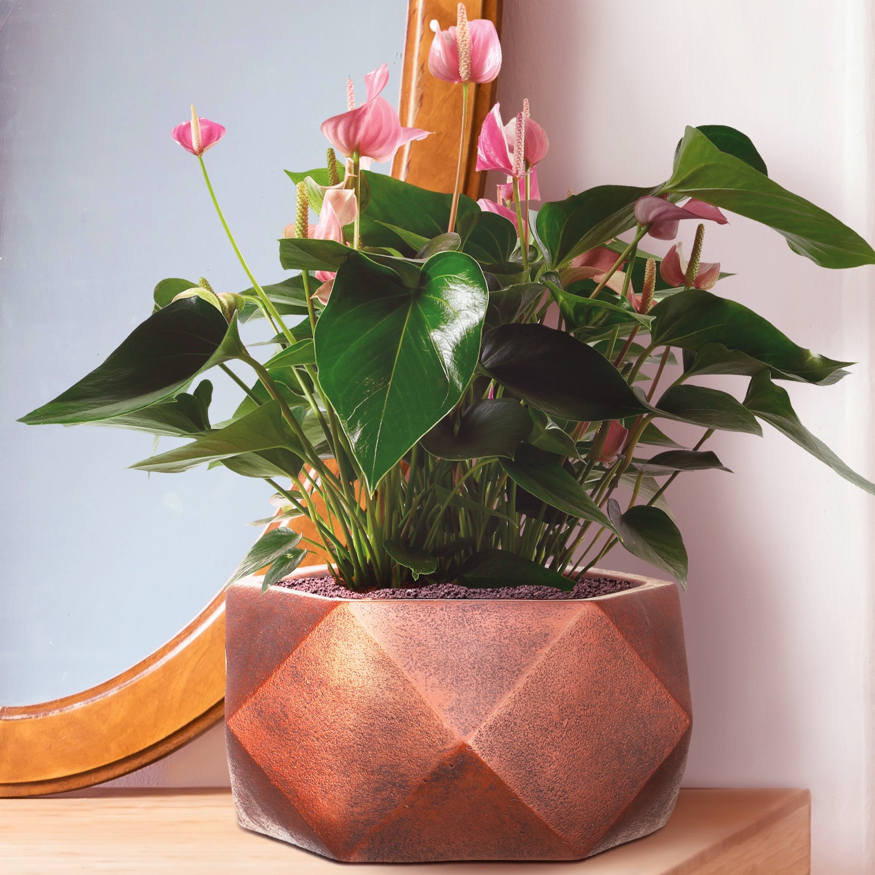 Geometry Style Bronze Bowl Planter, Indoor Plant Pot D30 H15 cm, 10 ltrs Cap.