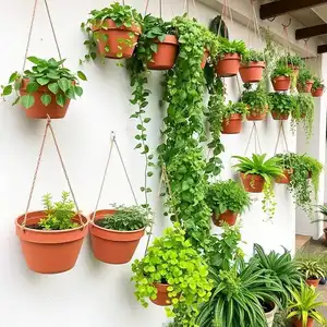 Plants for Elevated Planters