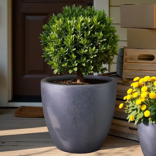 50cm Large Dark Grey Light Concrete Garden Planter | Contemporary Outdoor Plant Pot D50 H45 cm, 88 ltrs Cap.